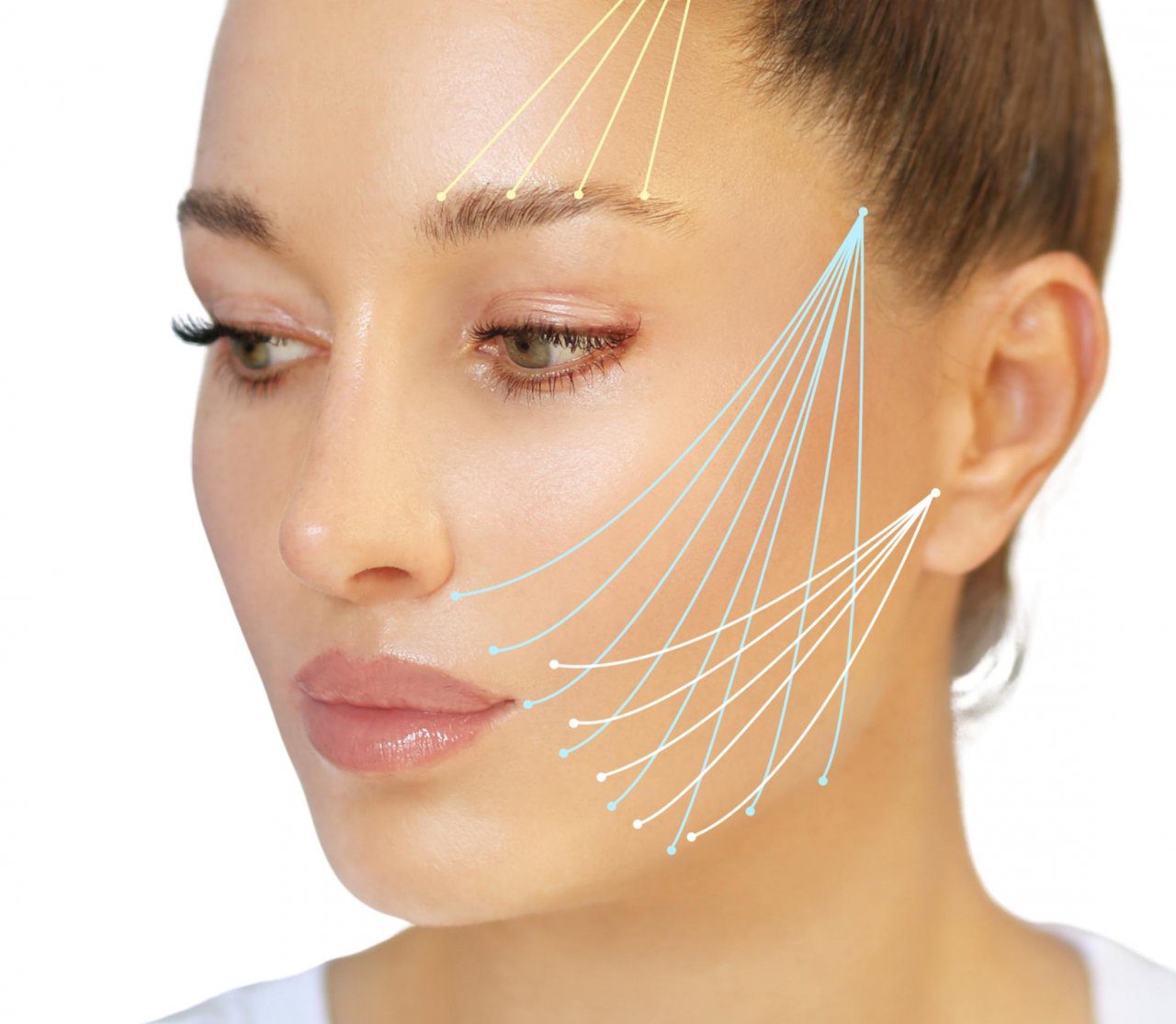 A woman's face with lines indicating certain areas