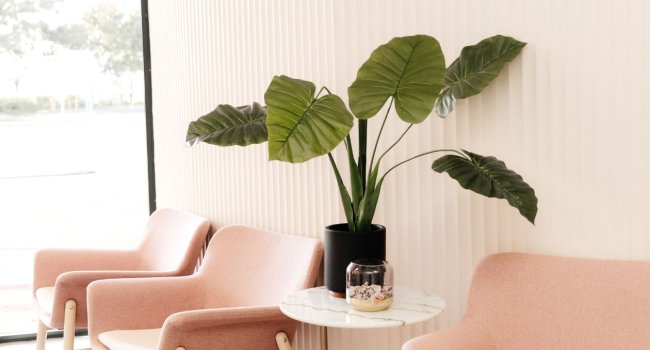Waiting area at New You